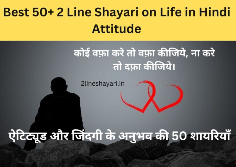 2 Line Shayari on Life in Hindi Attitude